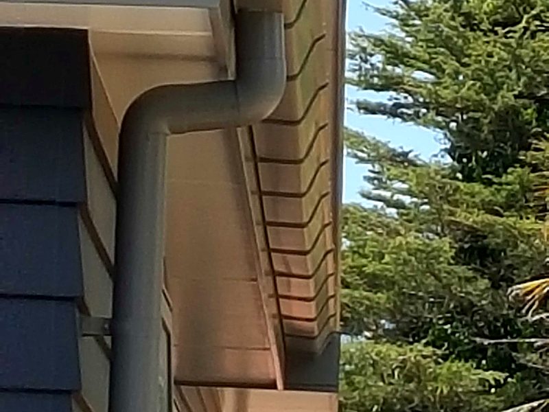 Gutter and downpipe detail on a two-storey home